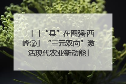 「“县”在图强·西峰②」“三元双向”激活现代农业新动能