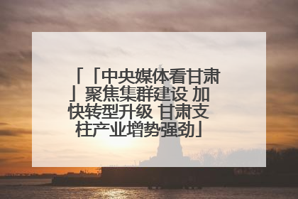 「中央媒体看甘肃」聚焦集群建设 加快转型升级 甘肃支柱产业增势强劲