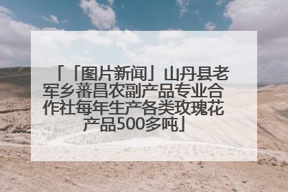 「图片新闻」山丹县老军乡蕃昌农副产品专业合作社每年生产各类玫瑰花产品500多吨