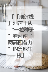 「地评线」河声丨从“一粒种子”看河南“两高四着力”的落地生根