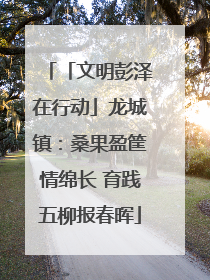 「文明彭泽在行动」龙城镇：桑果盈筐情绵长 育践五柳报春晖