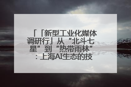 「新型工业化媒体调研行」从“北斗七星”到“热带雨林”：上海AI生态的技术商业共生密码