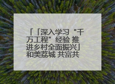 「深入学习“千万工程”经验 推进乡村全面振兴」和美荔城 共富共美 荔城区扎实推进乡村振兴工作