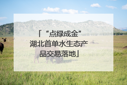 “点绿成金” 湖北首单水生态产品交易落地