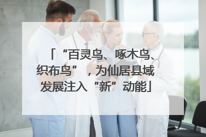 “百灵鸟、啄木鸟、织布鸟”，为仙居县域发展注入“新”动能