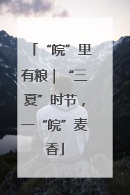 “皖”里有粮｜“三夏”时节，一“皖”麦香