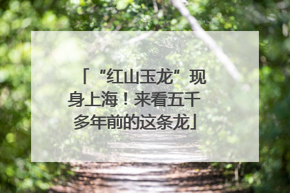 “红山玉龙”现身上海！来看五千多年前的这条龙
