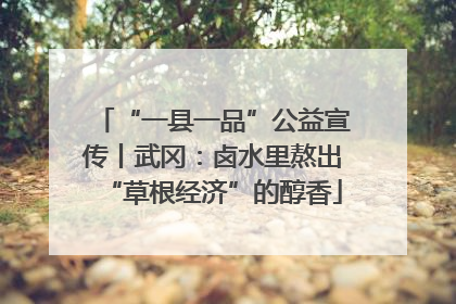 “一县一品”公益宣传丨武冈：卤水里熬出“草根经济”的醇香