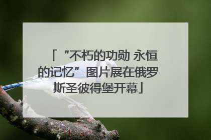 “不朽的功勋 永恒的记忆”图片展在俄罗斯圣彼得堡开幕