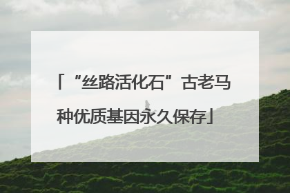 “丝路活化石”古老马种优质基因永久保存