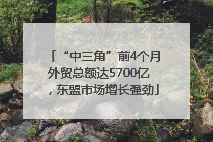 “中三角”前4个月外贸总额达5700亿，东盟市场增长强劲