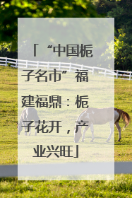 “中国栀子名市”福建福鼎：栀子花开，产业兴旺