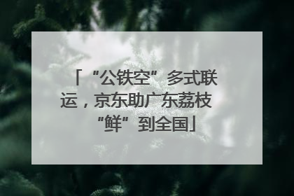 “公铁空”多式联运，京东助广东荔枝“鲜”到全国