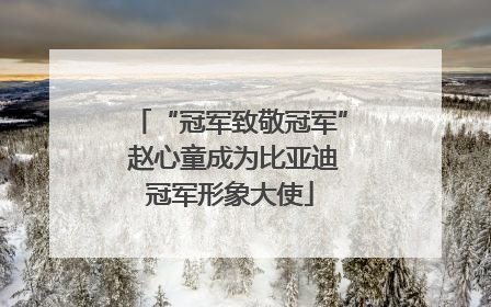 “冠军致敬冠军” 赵心童成为比亚迪冠军形象大使