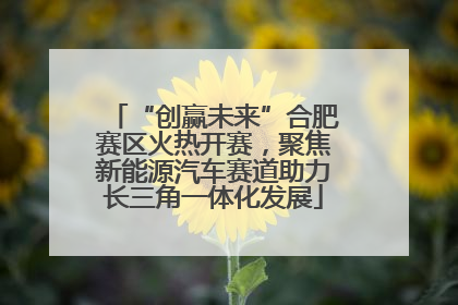 “创赢未来”合肥赛区火热开赛，聚焦新能源汽车赛道助力长三角一体化发展