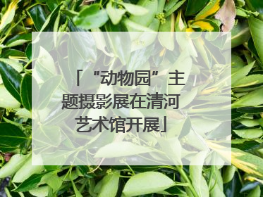 “动物园”主题摄影展在清河艺术馆开展