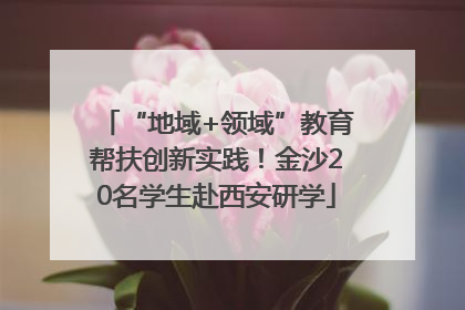 “地域+领域”教育帮扶创新实践！金沙20名学生赴西安研学