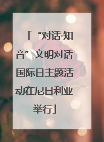 “对话·知音”文明对话国际日主题活动在尼日利亚举行
