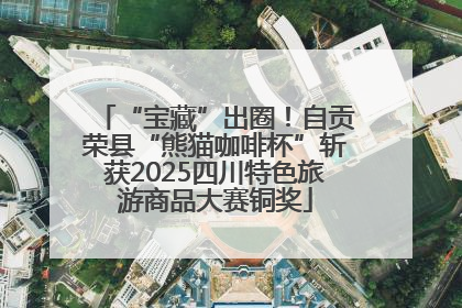 “宝藏”出圈！自贡荣县“熊猫咖啡杯”斩获2025四川特色旅游商品大赛铜奖