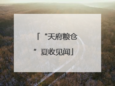 “天府粮仓”夏收见闻