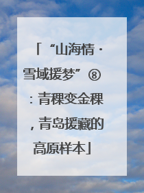 “山海情・雪域援梦”⑧：青稞变金稞，青岛援藏的高原样本
