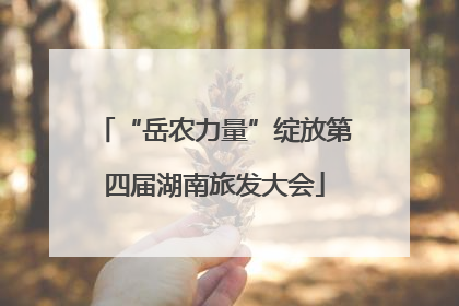“岳农力量”绽放第四届湖南旅发大会