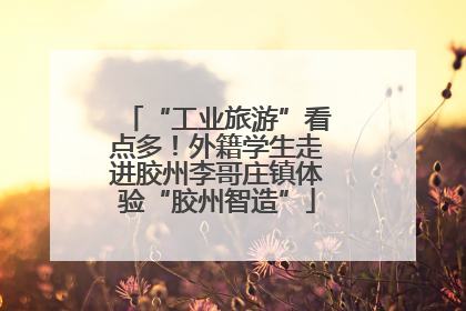 “工业旅游”看点多！外籍学生走进胶州李哥庄镇体验“胶州智造”