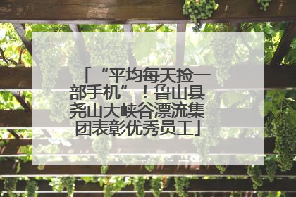 “平均每天捡一部手机”！鲁山县尧山大峡谷漂流集团表彰优秀员工