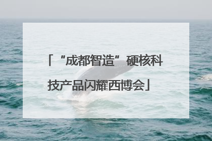 “成都智造”硬核科技产品闪耀西博会