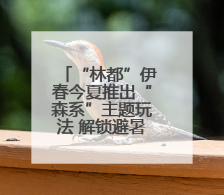 “林都”伊春今夏推出“森系”主题玩法 解锁避暑新体验