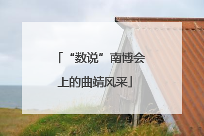 “数说”南博会上的曲靖风采