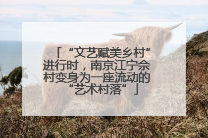 “文艺赋美乡村”进行时，南京江宁佘村变身为一座流动的“艺术村落”
