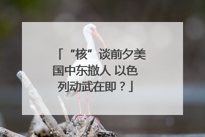 “核”谈前夕美国中东撤人 以色列动武在即？