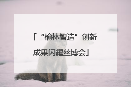 “榆林智造”创新成果闪耀丝博会
