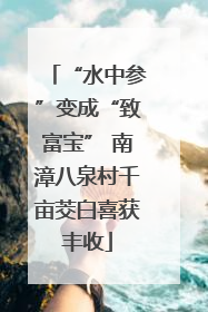 “水中参”变成“致富宝” 南漳八泉村千亩茭白喜获丰收