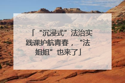 “沉浸式”法治实践课护航青春，“法姐姐”也来了