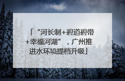 “河长制+碧道碧带+幸福河湖”，广州推进水环境提档升级