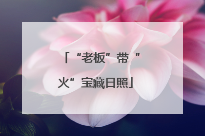 “老板”带“火”宝藏日照