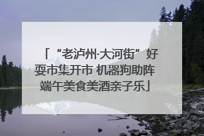 “老泸州·大河街”好耍市集开市 机器狗助阵端午美食美酒亲子乐