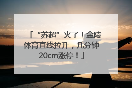 “苏超”火了！金陵体育直线拉升，几分钟20cm涨停！