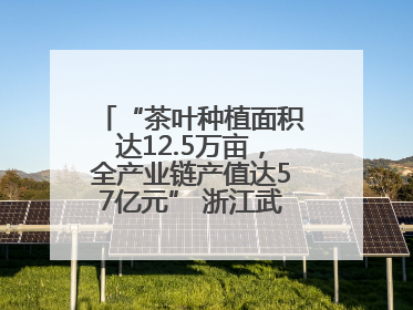 “茶叶种植面积达12.5万亩，全产业链产值达57亿元” 浙江武义茶产业全链发展“加速度”