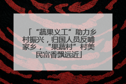 “蔬果义工”助力乡村振兴，归国人员反哺家乡，“果蔬村”村美民富香飘远近