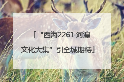 “西海2261·河湟文化大集”引全城期待