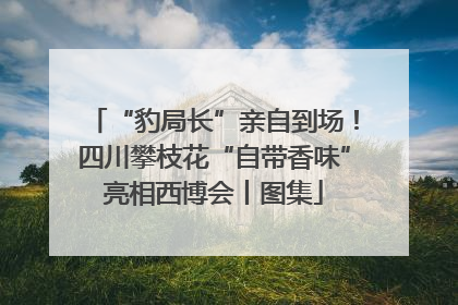 “豹局长”亲自到场！四川攀枝花“自带香味”亮相西博会丨图集