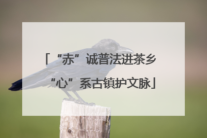 “赤”诚普法进茶乡 “心”系古镇护文脉