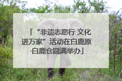 “非遗志愿行 文化进万家”活动在白鹿原·白鹿仓圆满举办