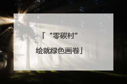 “零碳村” 绘就绿色画卷