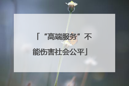 “高端服务”不能伤害社会公平