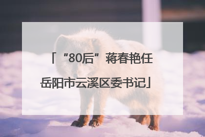 “80后”蒋春艳任岳阳市云溪区委书记