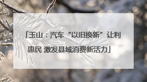 玉山：汽车“以旧换新”让利惠民 激发县域消费新活力